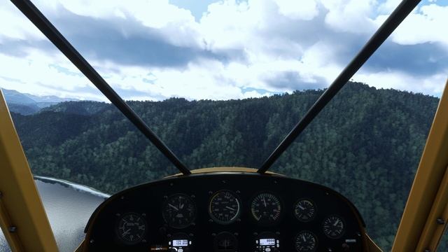 Microsoft Flight Simulator. Река Гордж (Новая Зеландия). Выполнение посадки смотреть онлайн