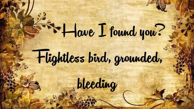 Flightless Bird, American Mouth Lyrics (HD) смотреть онлайн