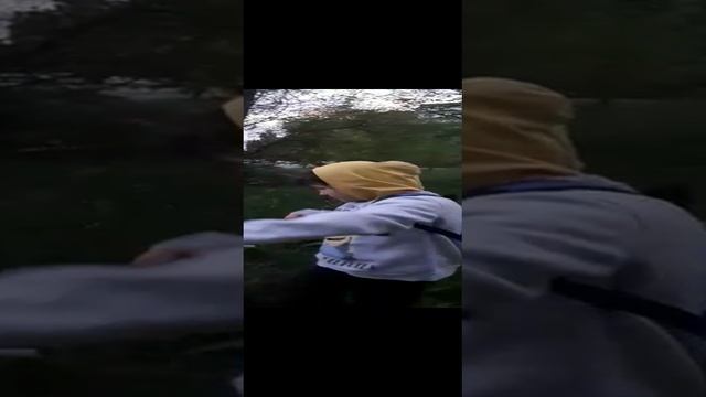 Огромные оДУВАНЧИКИ