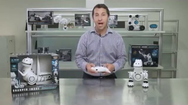 Robotosaur Interactive RC Programmable Dinosaur Robot By Sharper Image