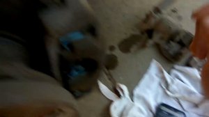 Прокачка тормозного контура от воздуха Ford Transit