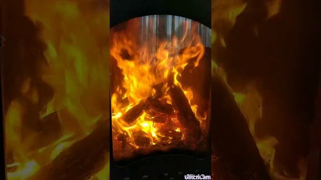 ASMR Дача. Печь. Огонь. смотреть онлайн