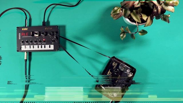 Short Ambient Lofi Loop with Cassette Tape, Korg NTS-1 and Birds and Nature Sounds Pills#10 смотреть онлайн