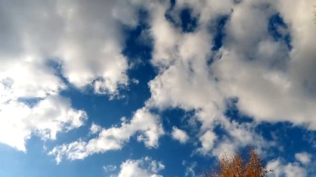 Стихотворение о осени. читаю стихи своего сочинения! смотреть онлайн