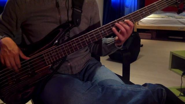 Ibanez SR1305SB MGL Bass + EBS UniChorus (Passive)