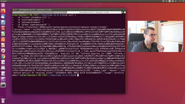 Identificación y acceso para tus aplicaciones de microservicios con Keycloak y Oauth2-proxy смотреть онлайн