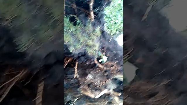 28.06.18.Ураган в городе Рубежное.Извиняюсь за перевернутое видео,снимала на телефон. смотреть онлайн