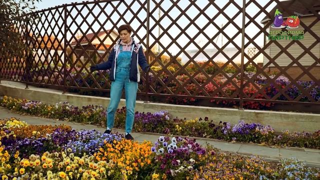 КАК СОХРАНИТЬ ДЕЛЬФИНИУМЫ ЗИМОЙ смотреть онлайн