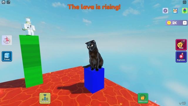 The FIERCEST Math Battle You Will Ever See | Roblox | Math Answer or Die смотреть онлайн