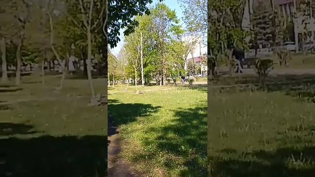 Майкоп. Прогулка по Пушкина смотреть онлайн