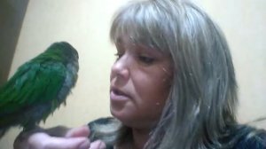 Пиррура разговаривает, кашляет.