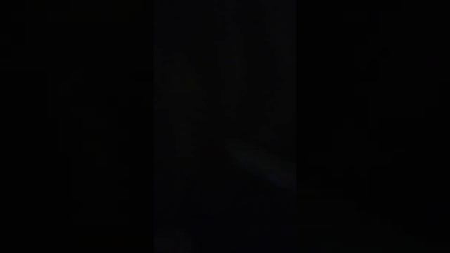 Кротик пищит на будильнике смотреть онлайн