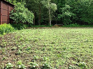 продам земельный участок Звенигород смотреть онлайн