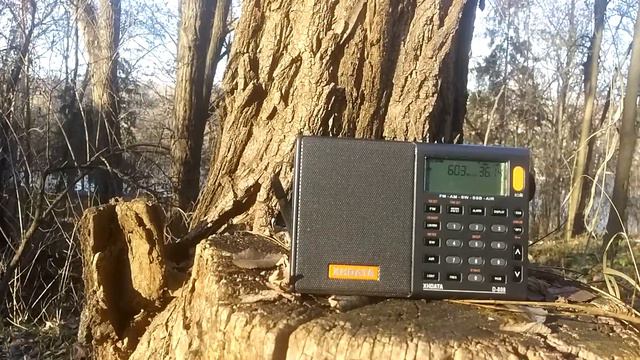 Дневное прохождение на средних волнах.(1) смотреть онлайн