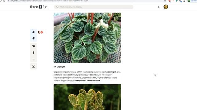 Обеззараживающие растения смотреть онлайн