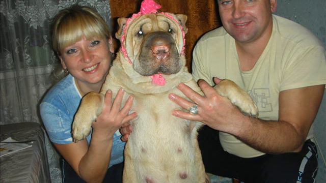 Лена.wmv смотреть онлайн