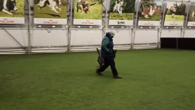 Коррекция позиции в движении рядом. Урок 2. смотреть онлайн