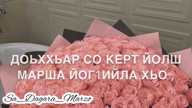 Мар нана озвучка номер для заказа 89899095114 смотреть онлайн