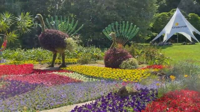 Выставка цветов Певческое поле - 2021 Співоче поле смотреть онлайн