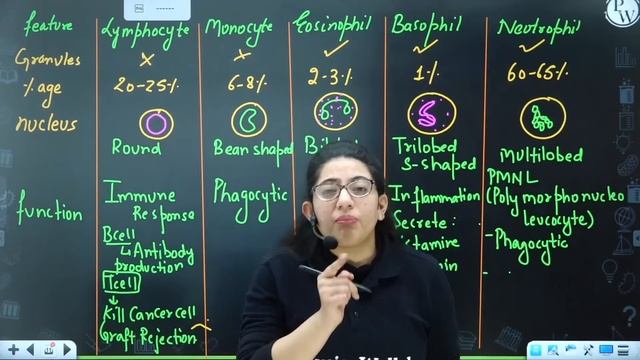 Body Fluids and Circulation 01 || Body Fluids || Body and Lymph || Class 11/NEET || RAFTAAR смотреть онлайн