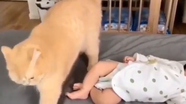 Фу, вы зачем это в дом принесли? Избавьтесь немедленно смотреть онлайн