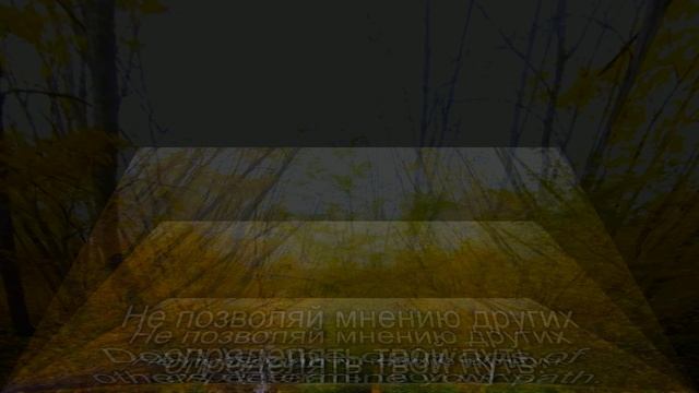 Аффирмации.№212
 Affirmations. №212