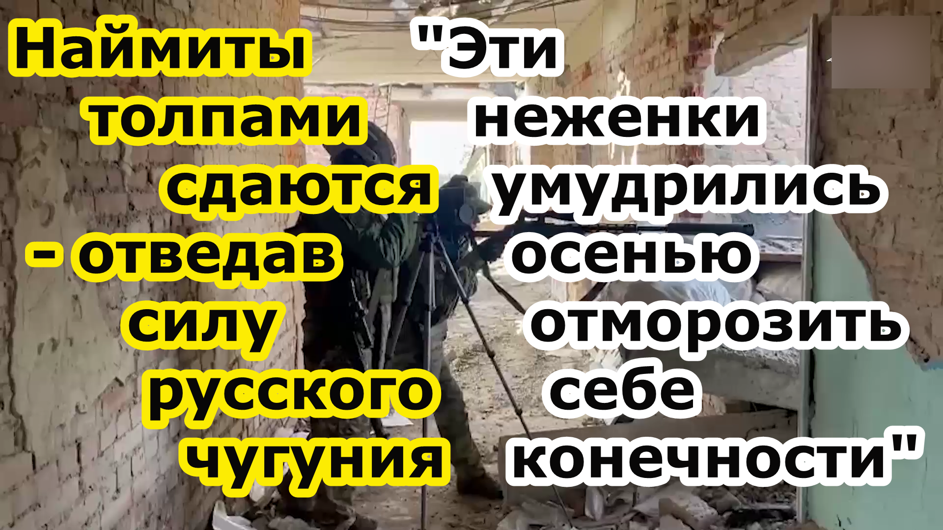 Наймы из Польши и Грузии , отморозив конечности и не желая стать жареными гусями массово сдаются в п смотреть онлайн