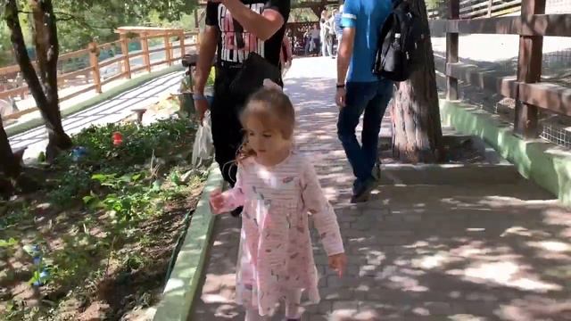 Настя в зоопарке кормит животных видео для детей смотреть онлайн