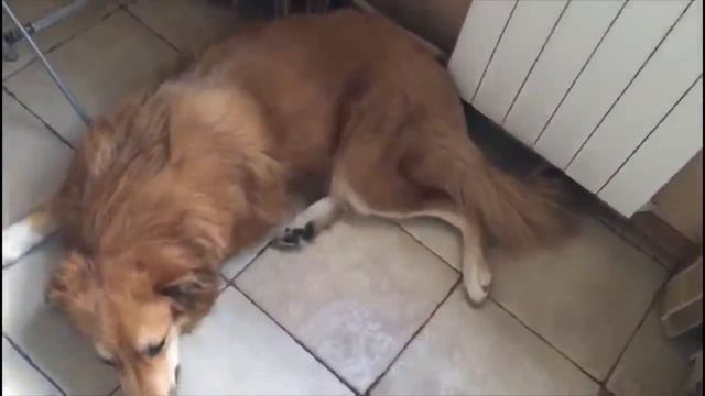 Будьте внимательны.(20.04.20г) смотреть онлайн