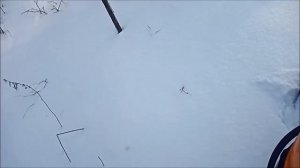 Доработал широкую лыжу  на Буране, неужели плохо рулит?