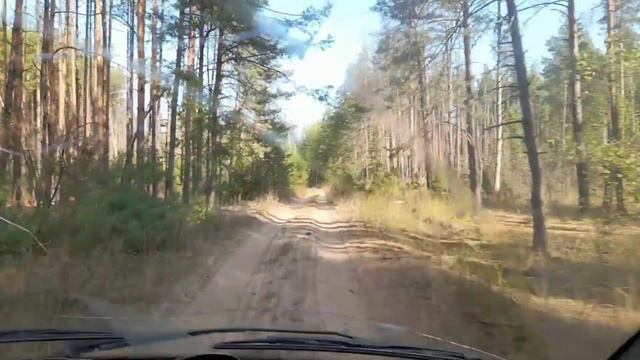 Roadkill по-русски. Перегон газели Рязань Н.Новгород смотреть онлайн
