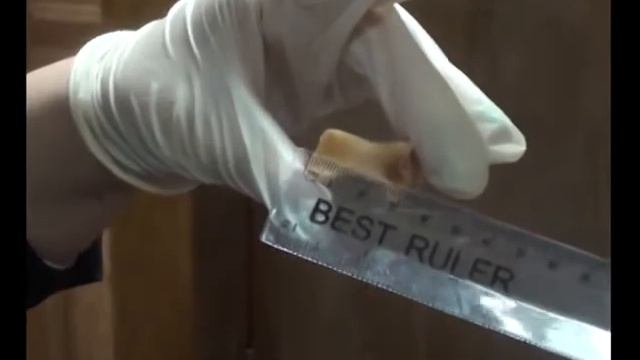 Кости тигра смотреть онлайн