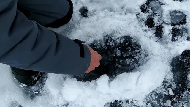 Супер КЛЕВ ПЛОТВЫ на СТАВКИ со льда. Браславские озера. Последний лед 2021. смотреть онлайн