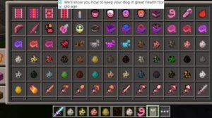 Завела всех животных в  каваи мир