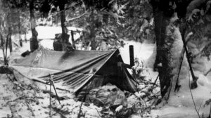 Трагедия на перевале Дятлова  64 версии гибели туристов в 1959 году  Главы  81 - 90 из 120