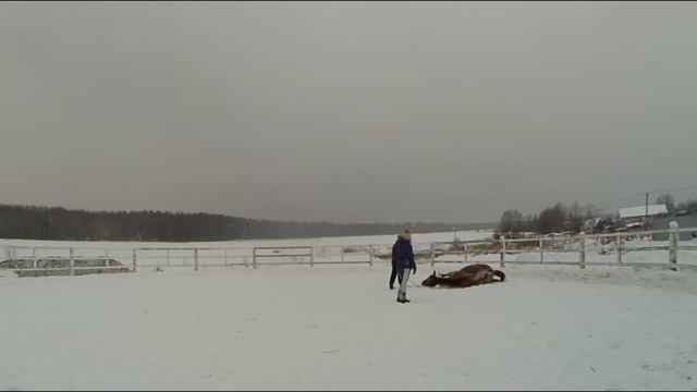 Валяшки смотреть онлайн