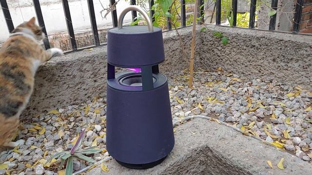 LG XBOOM 360... no apta para tus borracheras con cerveza LIGHT! смотреть онлайн