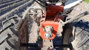 Прополка картофеля .Мотоблок + ежи ?.