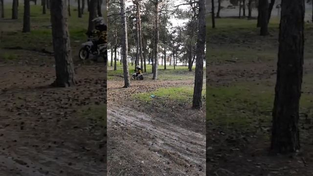 19 апреля 2023 г. смотреть онлайн