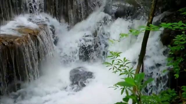 Рождение весны ! смотреть онлайн