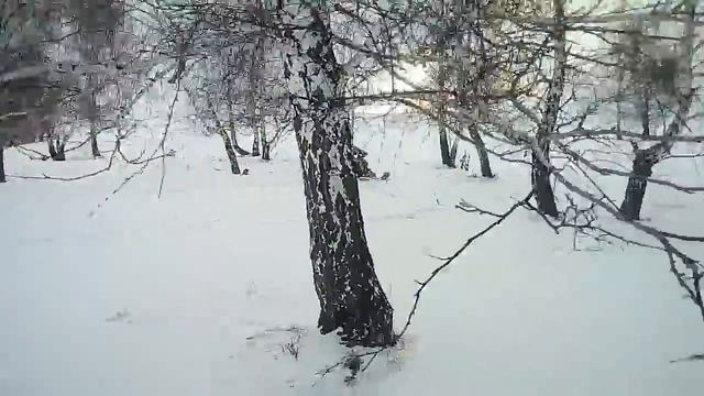 Снегоход динго 125 доработанный на ходу смотреть онлайн