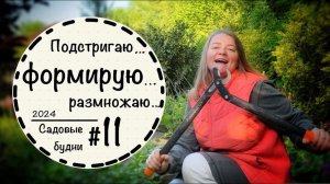 Садовые будни #11☘️Шланг для полива☘️Формирую можжевельник и лавровишню☘️Луковичные ☘️Апрель 2024