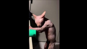 После тренажерки