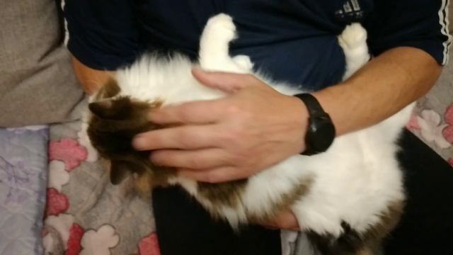 Ксюша соскучилась! смотреть онлайн