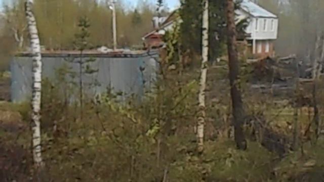 2014 05 10 птицы встречают весну смотреть онлайн