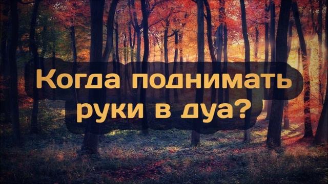 Когда поднимать руки в дуа? ◊ Ринат Абу Мухаммад смотреть онлайн