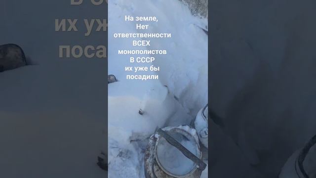 #натуральные #эко #продукты #деревня #россия многие хаят СССР, но в стране был порядок, а сейчас ?