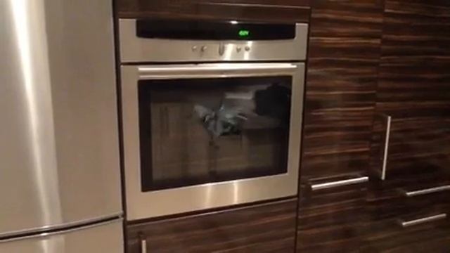 Clean your oven смотреть онлайн