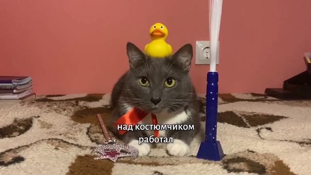 муд если бы котики ходили в школу э. Демотиватор 7. Волшебная палочка смотреть онлайн