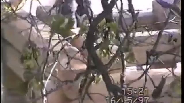 Деревянное зодчество часть 4 смотреть онлайн
